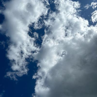 Maybe This Is Why I Survived This Long