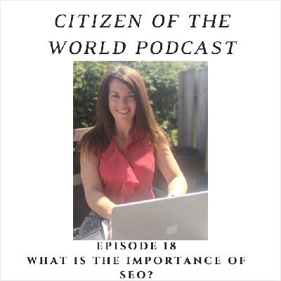 What is the Importance of SEO? Learn 5 Tips for Writing SEO Friendly Blog Posts What is the Importance of SEO? Learn 5 Tips for Writing SEO Friendly Blog Posts