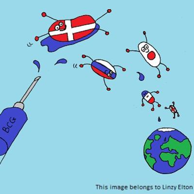 Plain language summary: Mapping the phylogeny and lineage history of geographically distinct BCG vaccine strains
