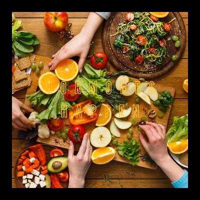💪 Fueling Success: How Stephanie Burdick Built Clean Eats from Passion to Purpose
