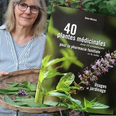 Quelles plantes médicinales cultiver chez soi ? Les conseils de Diane Mackay Quelles plantes médicinales cultiver chez soi ? Les conseils de Diane Mackay