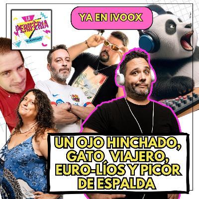 Un ojo hinchado, gato viajero, Euro-líos y picor de espalda