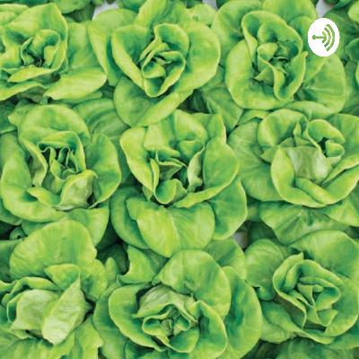 Grow your own food!