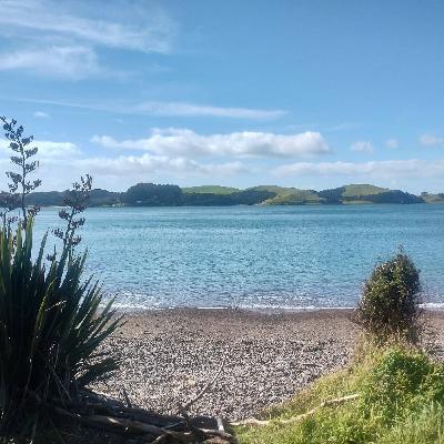 🚶‍♀️バンライフからアップグレード…！？まさかNZで一人暮らしをする日がくるなんて。