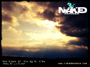 The Vibes SPL Mixed by DJ a'De