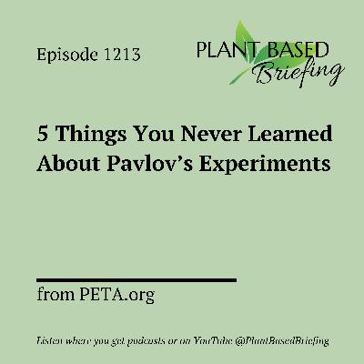 1213: 5 Things You Never Learned About Pavlov's Experiments by PETA.org