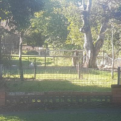 Learning to live with the turkey Learning to live with the turkey