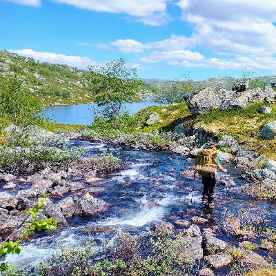 81: Hør! Fjeldet kalder på dig