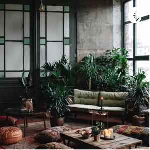 Letters to Myself & My Peace : Overcame With Peace