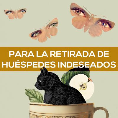 Capítulo #63 - Para la retirada de huéspedes indeseados, de A.C. Wise