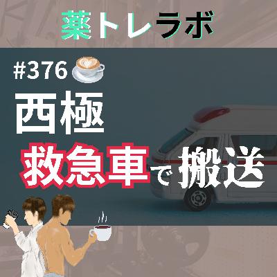 #376【休憩回】西極が倒れました、、原因は、、