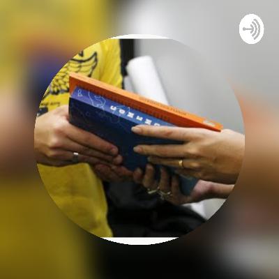 Entrevista sobre Pegar Algo e não devolver