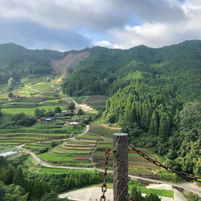 ⭐️今後のお知らせ⭐️