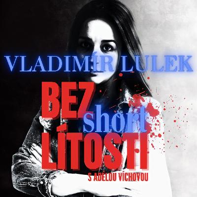 Případ Vladimír Lulek