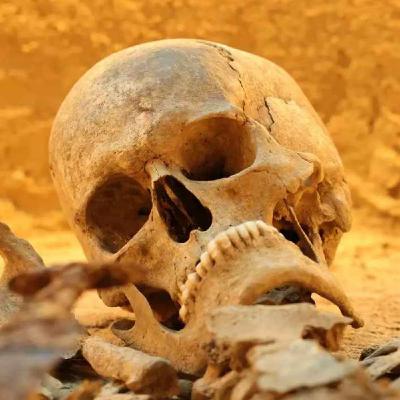 Grab 447: Sensationsfund eines fränkischen Kriegers aus dem Mittelalter - Zeit für History #55