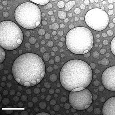 The Vital Question: The Chemistry of Early Life (Ep 49)