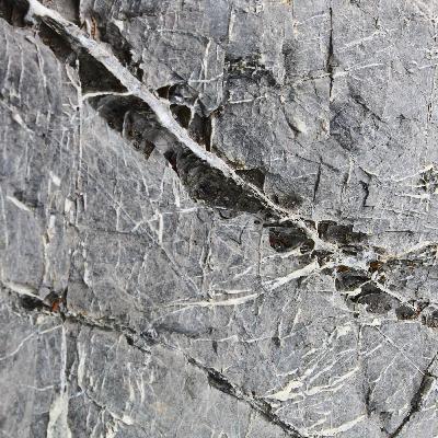 Spuren - woandershin