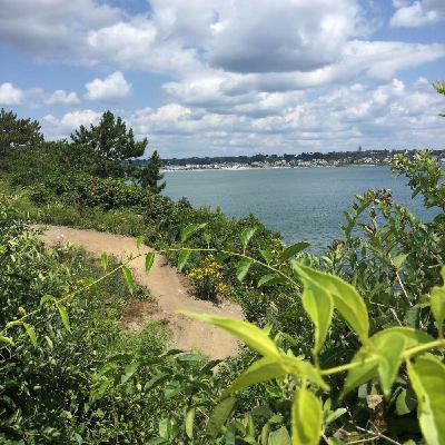 Tzur Chayeinu, Magen Yisheinu