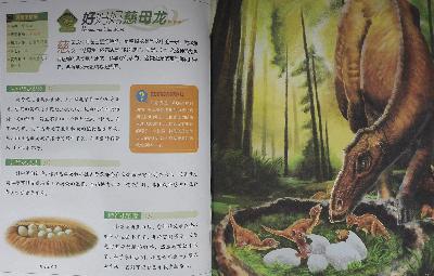 植食恐龙_37好妈妈慈母龙