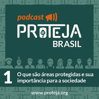 O que são áreas protegidas e sua importância para a sociedade