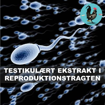 #228: Sædens lægelige egenskaber (1945)