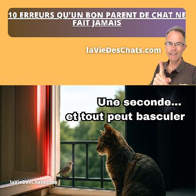 10 ERREURS FATALES AVEC VOTRE CHAT (LA 7ᵉ COÛTE CHER)