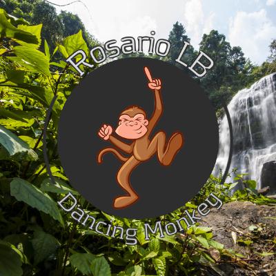Rosario LB - Dancing Monkey