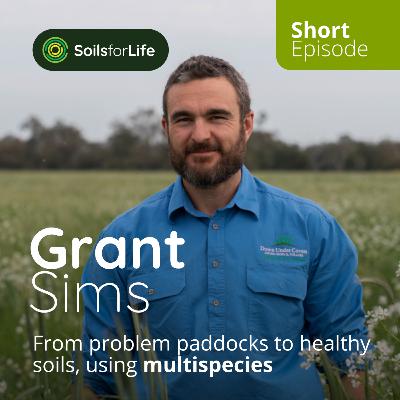 SHORT: From problem paddocks to healthy soils, multispecies with Grant Sims