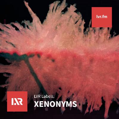 LVR Labels: Xenonyms