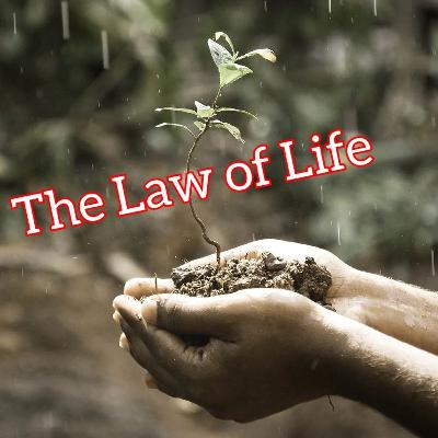 The Law of Life The Law of Life