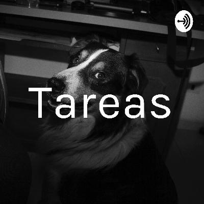 Características de un líder