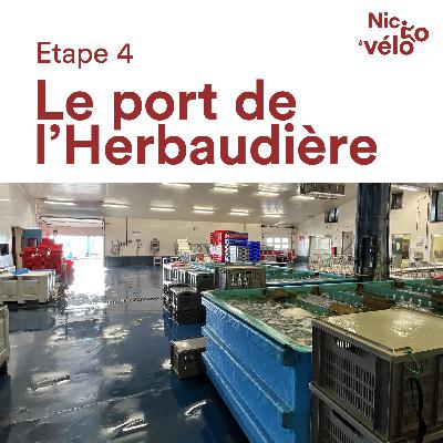 Nico à vélo - E4 - Nord-Ouest-Vendée - Le port de l'Herbaudière