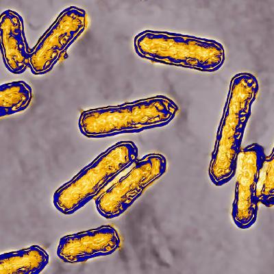 Virus contra superbacterias: la batalla final contra la resistencia a los antibióticos Virus contra superbacterias: la batalla final contra la resistencia a los antibióticos