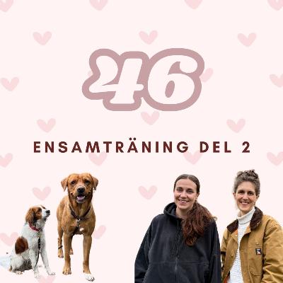 46. Ensamträning, separationsångest och urk*kande teknik