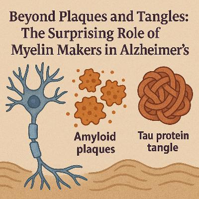 Beyond Plaques and Tangles: The Surprising Role of Myelin Makers in Alzheimer's
