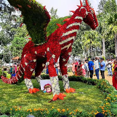 ஏற்காடு கோடைவிழா மலர் கண்காட்சி ஏற்காடு கோடைவிழா மலர் கண்காட்சி