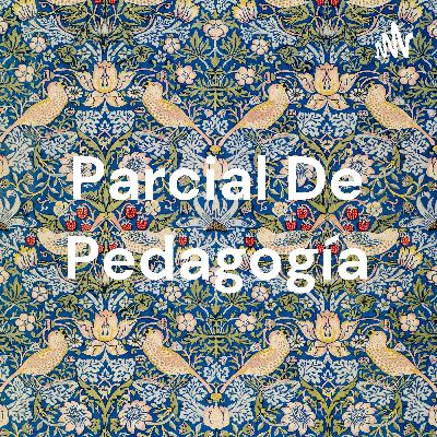 Integrador de pedagógia