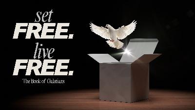 Galatians 6