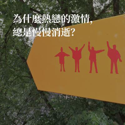 第 6 集：為什麼熱戀的激情，總是慢慢消逝？｜多巴胺分泌減少了，消逝的愛情、冷卻的熱戀