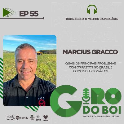 QUAIS OS PRINCIPAIS PROBLEMAS COM OS PASTOS NO BRASIL E COMO SOLUCIONÁ-LOS