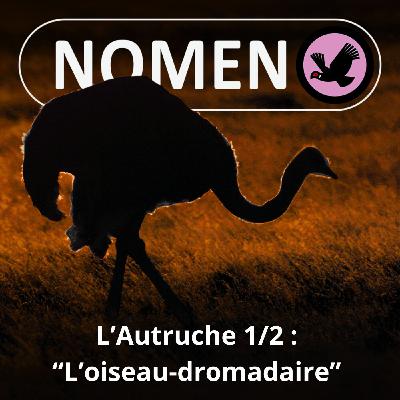 S05E18 L'Autruche 1/2 : "L'oiseau-dromadaire"