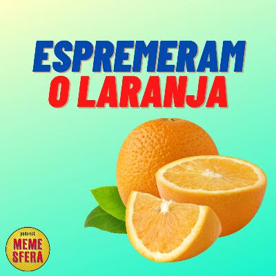 OS MEMES DAS ELEIÇÕES AMERICANAS