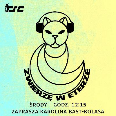 Zwierzę w eterze: 20 - urazy