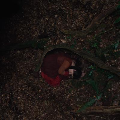 森林女巫与莎士比亚、大母神与鹰符号：《哈姆奈特》大解读！