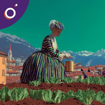 Les fermes urbaines à l’épreuve des chiffres Les fermes urbaines à l’épreuve des chiffres