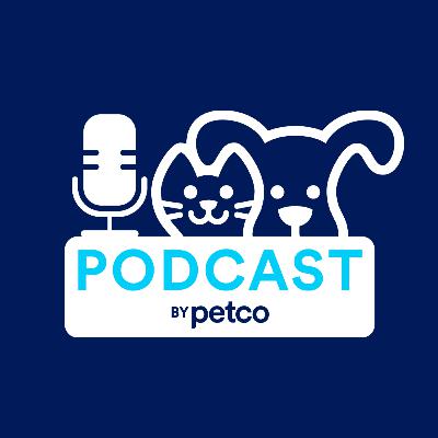 🥣ALIMENTO HÚMEDO PARA PERRO Y GATO | Petco Podcast - Episodio 4 - T1