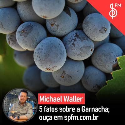 ​Michael Waller | 5 fatos sobre a Garnacha