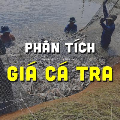 PHÂN TÍCH GIÁ CÁ TRA #ĐBSCL 13/10/2025 & CÁ TRA GIỐNG GIẢM NHƯNG NEO CAO? #GIATHUYSAN #GIACATRA
