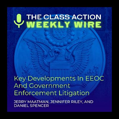 Episode 133: Key Developments In EEOC And Government Enforcement Litigation