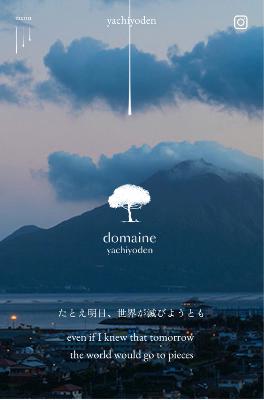 第17回 焼酎deワクワク from Radiotalk